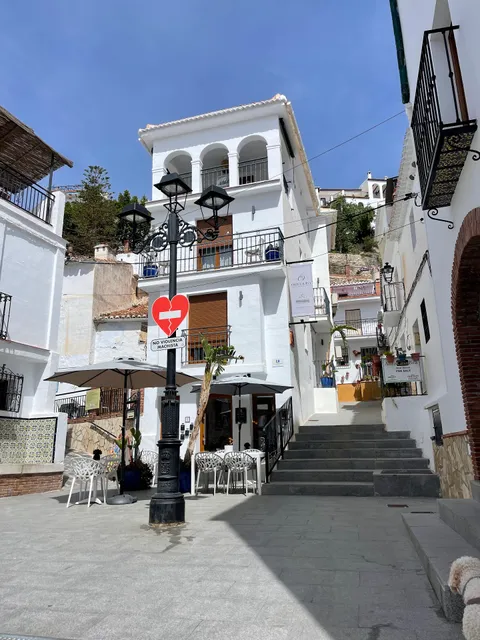 Olive & Ivy Guest House