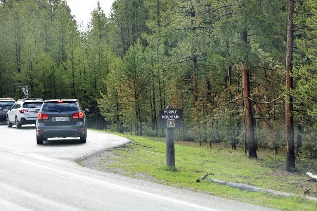 Purple Mountain Trailhead