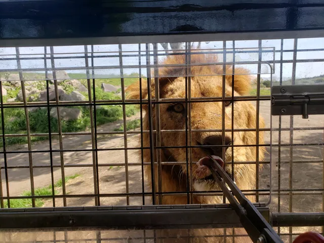 九州自然動物公園