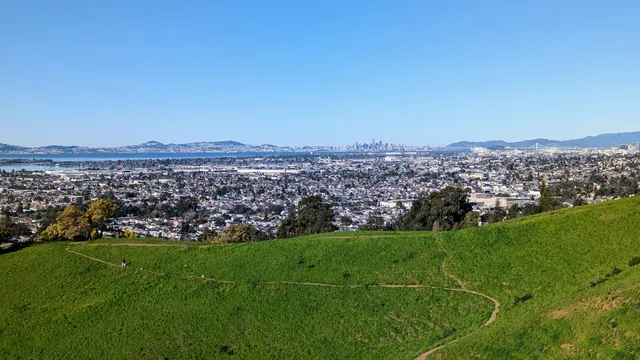 King Estate Open Space Park