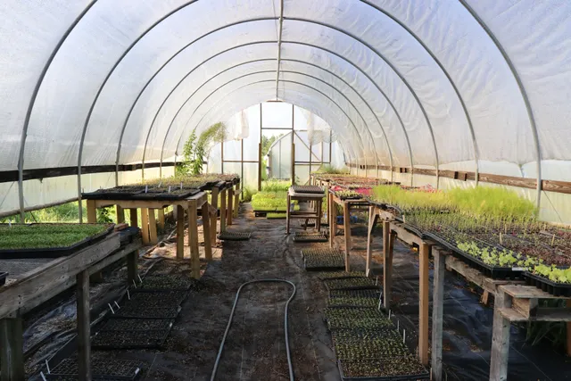 Chesterfield Heirlooms