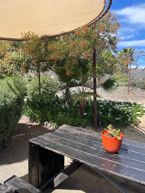 Food Truck Adobe Guadalupe