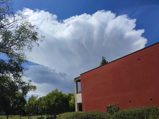 Area sgambamento cani