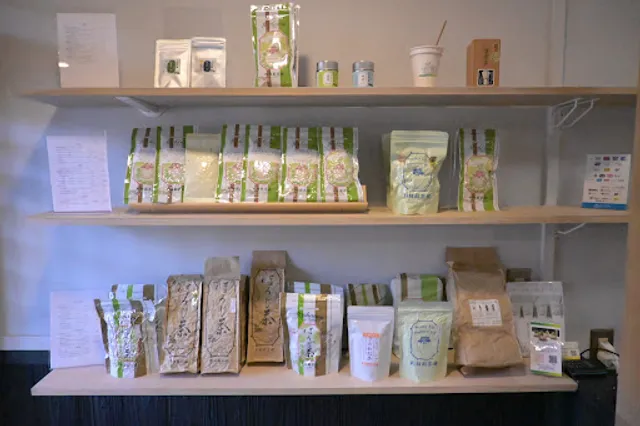 Japanese Green Tea and Gelato Kame Usagi