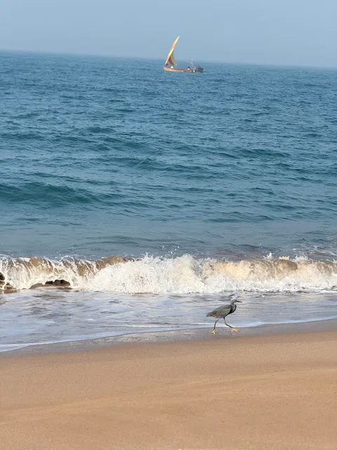 Madhavpur Sea side beach