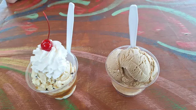 Tiki Shack Ice Cream Bar