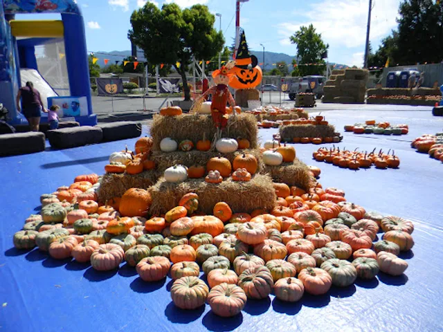 ABC Tree Farms & Pick of the Patch Pumpkins ECR