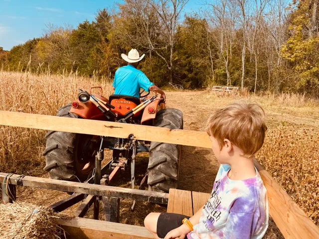 Blackjack Bloom's and Berry's.