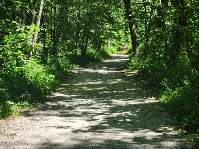 McClaughry Springs Woods