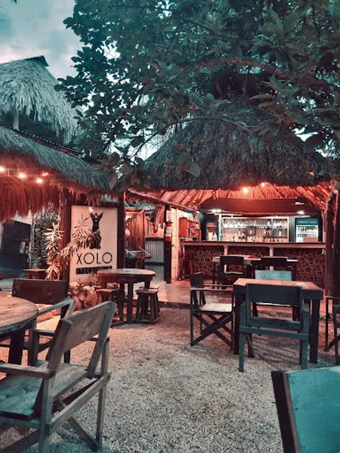 Xolo Itzcuintle taco bar