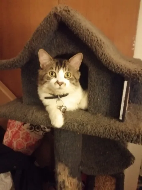 Berman Center for Animal Care