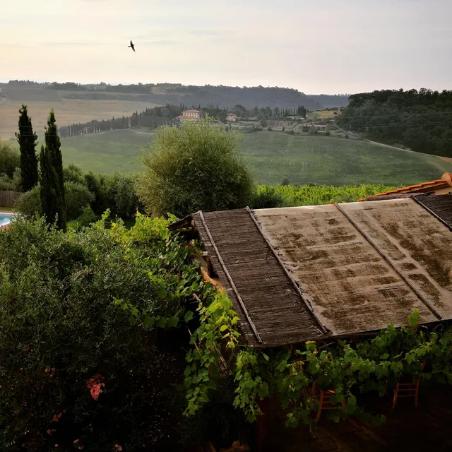 Agriturismo l'Olmo - Soc. Agr. F.lli Maroni s.s.