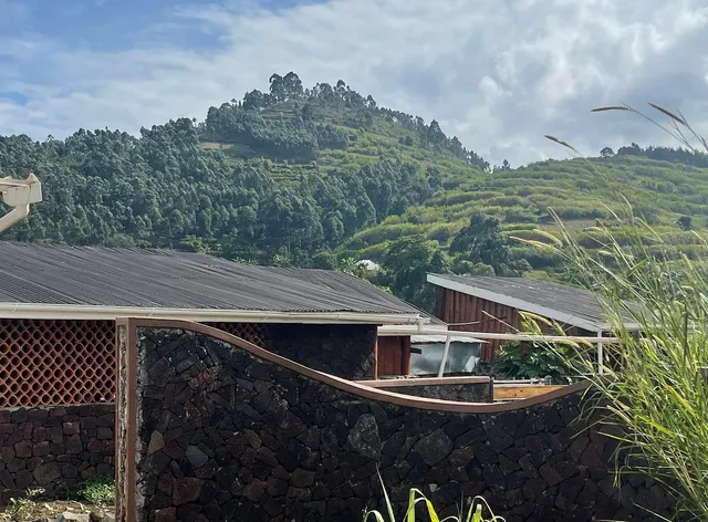 Casa Gorilla Lodge & Campsite