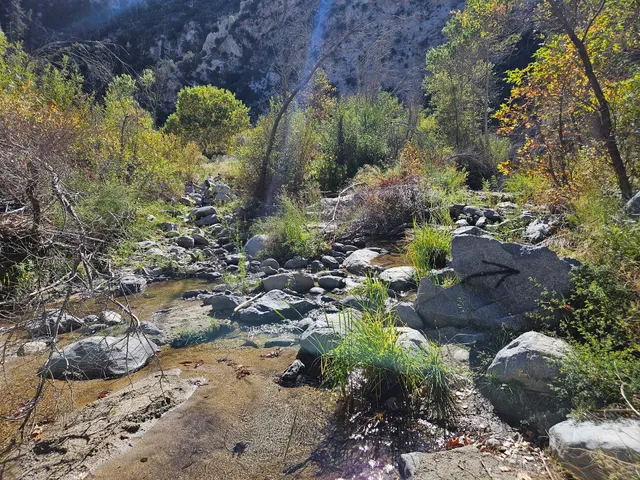 Fall Creek Trail Camp