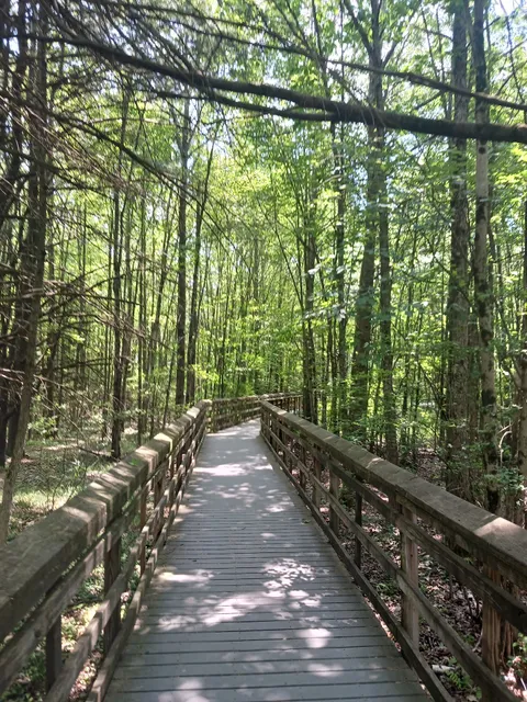 Great Swamp Wildlife Observation Center