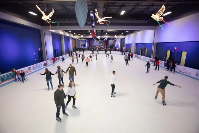 The Ice Rink