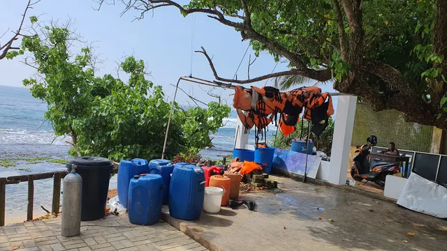 Mirissa Snorkeling Tours