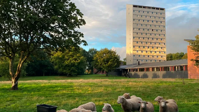 Højhuset Kulturhotel