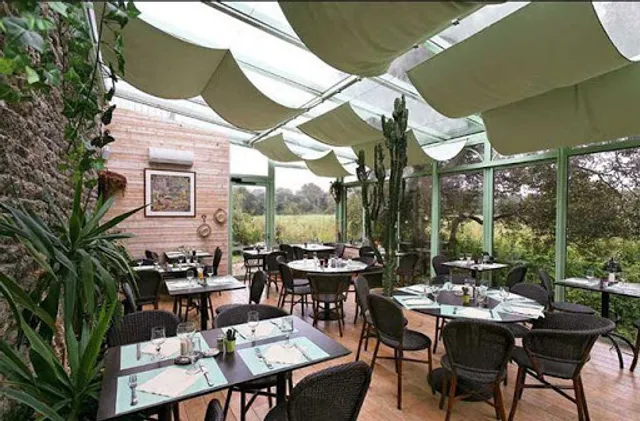 Le Champ des Sirènes