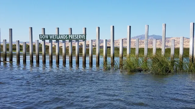 Corteva Wetlands Preserve