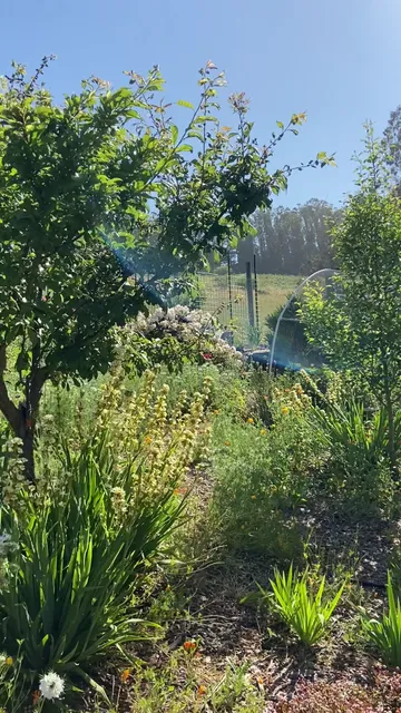 Open sky retreat space