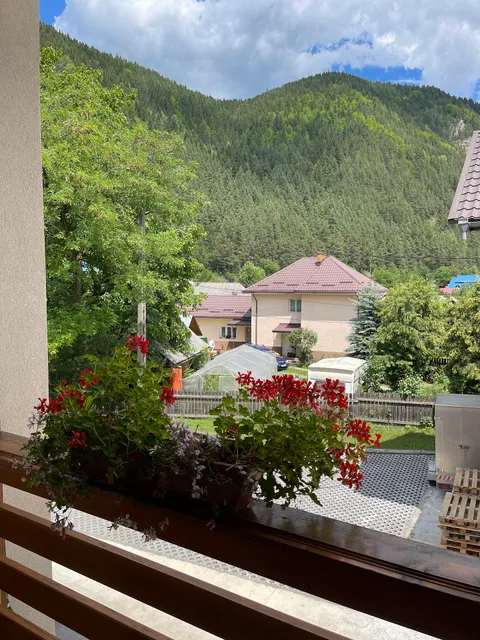 Pensiunea Bicaz Chei - Cazare si Restaurant in Bicaz Chei