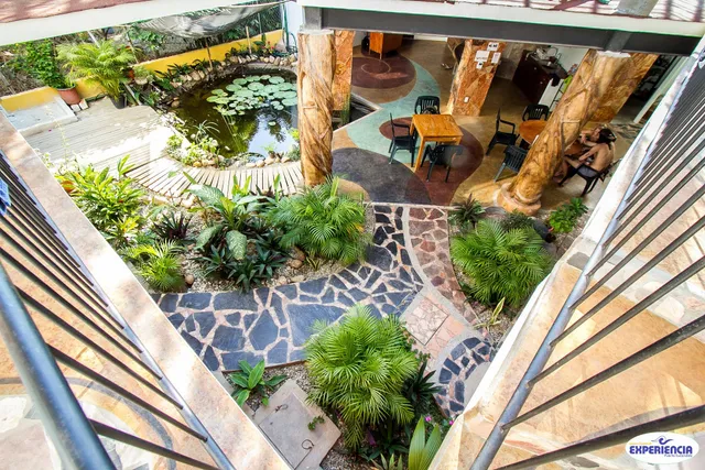 Experiencia Surf Camp