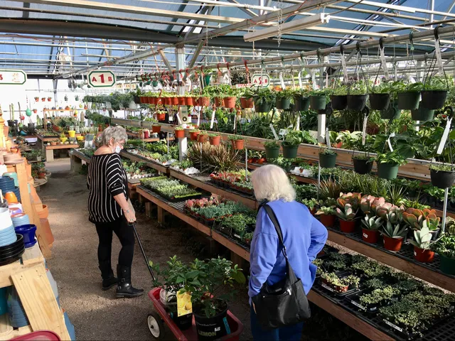 Fort Collins Nursery