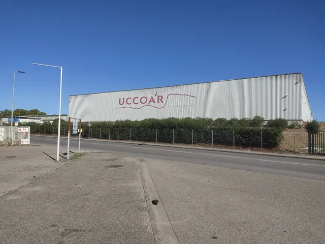 Uccoar
