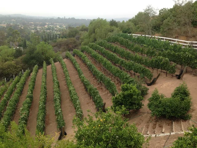 End of the Road Winery