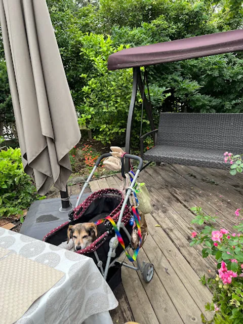 はるのガーデン