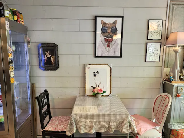 Esta-minet (bar à chats et tea time)