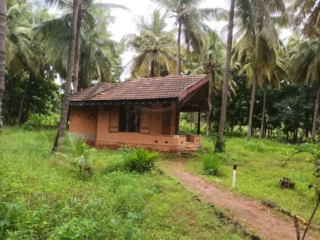 Kissing Trees homestay