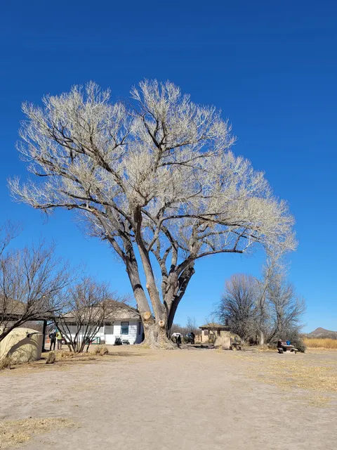 San Pedro House Nature Store & San Pedro Riparian National Conservation Area Visitor Information