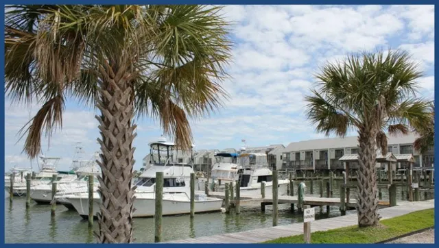 Dauphin Island Marina Inc