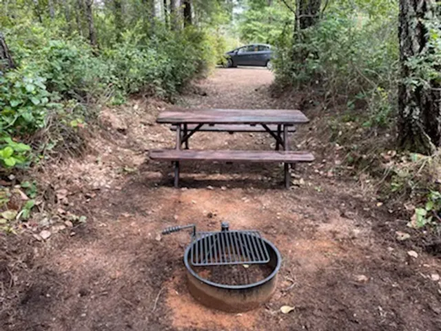 Free Your Mind Camping