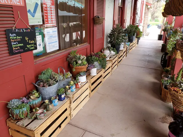 Bell Station Farmers Market/avocado