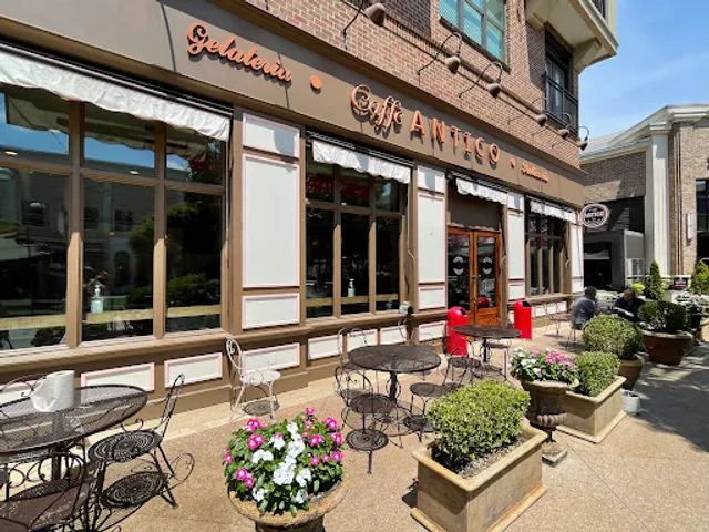 Antico Pizza Napoletana