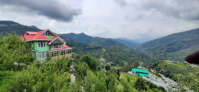 Pear Blossom Home Stay