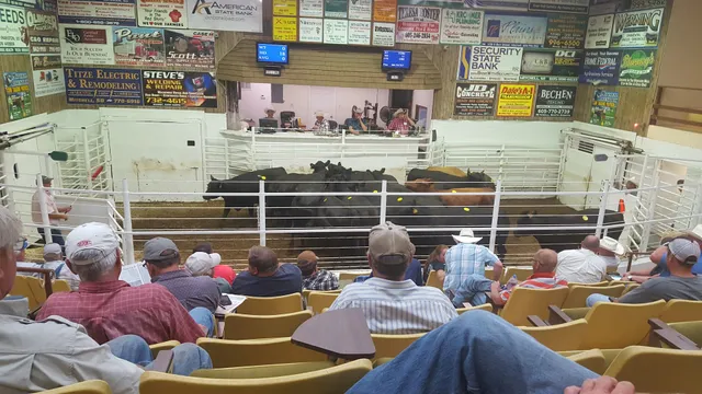 Mitchell Livestock Marketing