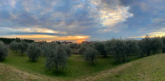 Azienda Agricola Cerdonio