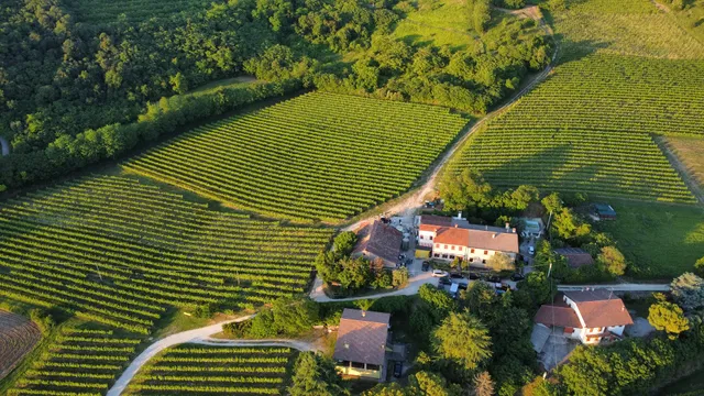 Tenuta Gambalonga Residence