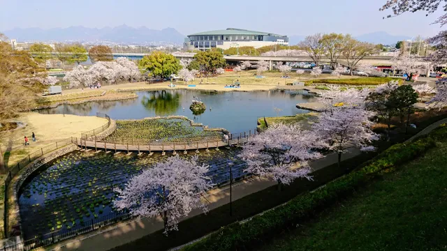 Rakuhodou Maebashi Park