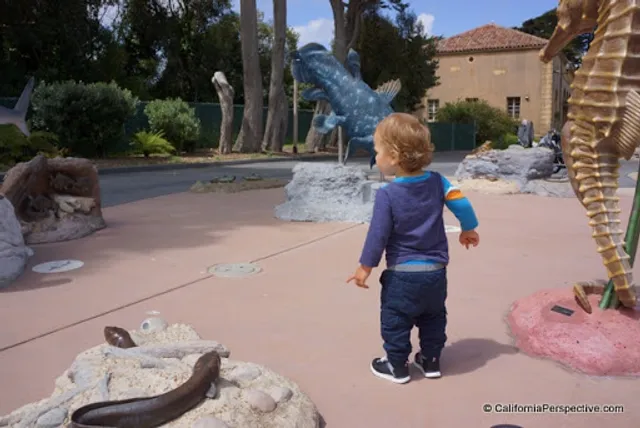 Elinor Friend Playground