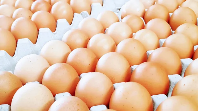 Eggs Direct Melbourne