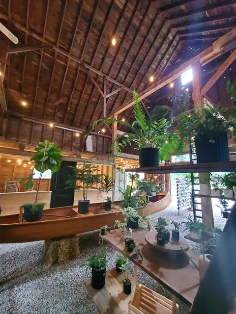 East Pine Plant Shop + Farm Store