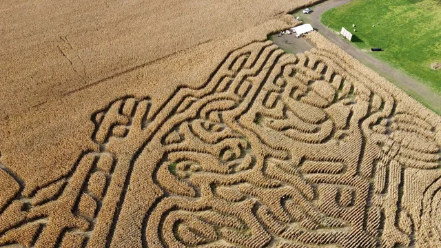 Farmer J's Corn Maze-World Record Corn Maze