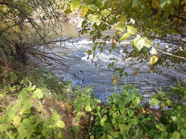 Made on Earth Hiking Trails