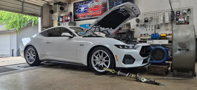 210 Mustang Performance
