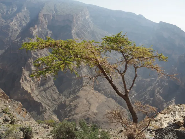 Jebel Shams Trek Water Pool